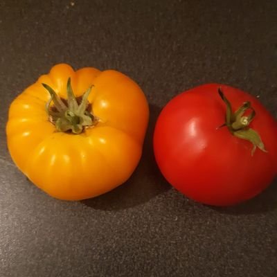 minombreesfff's profile picture. 