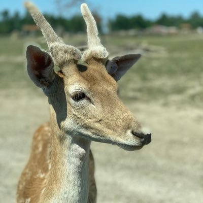 SleazydaddyA's profile picture. 