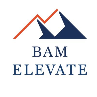 BAM Elevate is the private investment division of Balyasny Asset Management L.P.