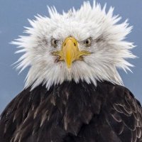 Erick Brownstein (@erickb) 's Twitter Profile Photo