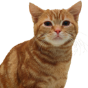 Mark Overholser - @OverholserMark - Twitter