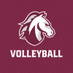 Evangel Volleyball (@evangelvb) Twitter profile photo Evangel Volleyball (@evangelvb) Twitter profile photo