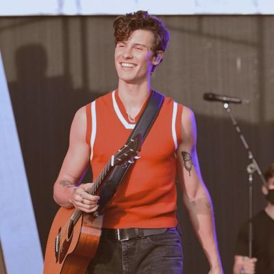 this is a safe place for shawn stans♡