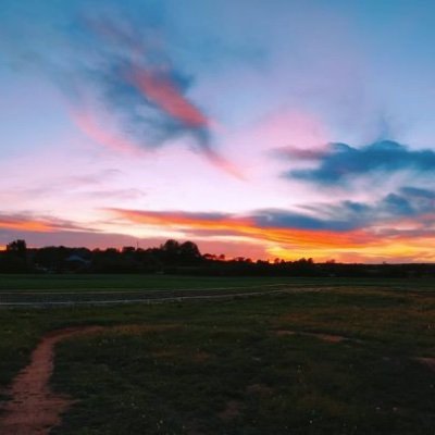 gisele_levesque's profile picture. 