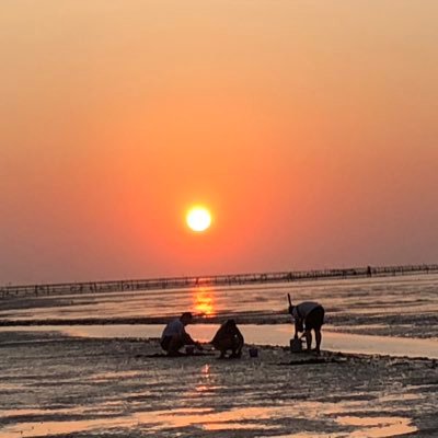 derek_chao2's profile picture. #茶魚飯後#