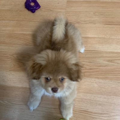 BBuck63269384's profile picture. No lists, no trains, NO porn!  retweet does NOT indicate agreement with the tweet or the author.