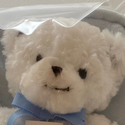 SAPコンサルあるいはSE/財務会計/元ABAPer/SIer→コンサルファーム/お酒が好き/Excelも好き/英語も好きだった/簿記は好き