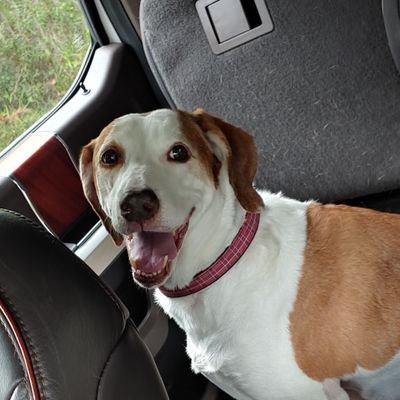 idontgetit71's profile picture. 