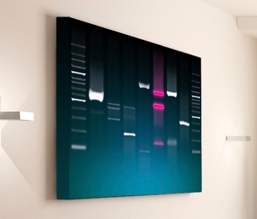 We believe that every human’s genes are precious and worthy to be preserved in an artistic way. DNA2Art offers that exclusive possibility!