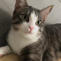 Flo (@swizamm) 's Twitter Profile