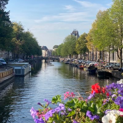 Alle bomen moeten wijken voor vernieuwing van de kademuren van de grachten in #Amsterdam. Dit moet en kan anders!   https://t.co/c8LT98evqW