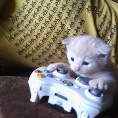 angeloramierez's profile picture. he/him