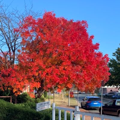 diiabolical's profile picture. Deluded politico’s - those that can’t have rational calm discussion without infantile name calling can piss right off - and then I block you