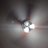 lela_nesbit's profile image