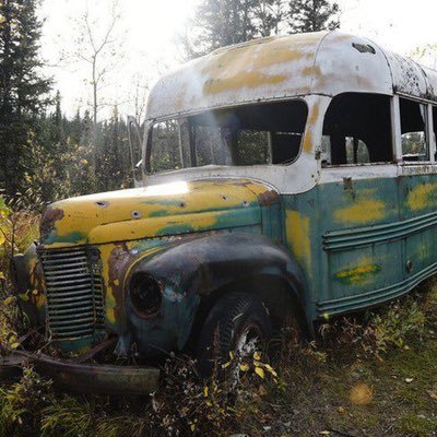 brauner_sumpf's profile picture. Content über den weltbesten Ex-Busfahrer 🚌