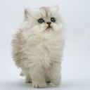 Iris Gilmore - @Irison73 - Twitter