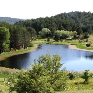 ZaferYi70074618's profile picture. 