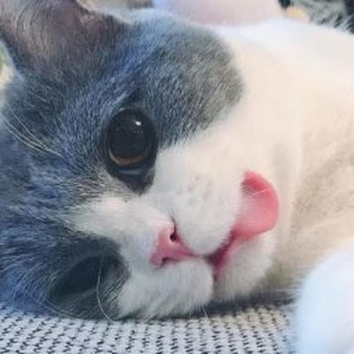 osZzrs9r7Ani8Ie's profile picture. 