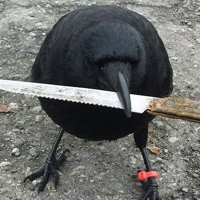 Glxtch3dT's profile picture. 
