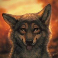 John Walker Wolf 🐺 (@johnwalkerwolf) 's Twitter Profile Photo John Walker Wolf 🐺 (@johnwalkerwolf) 's Twitter Profile Photo