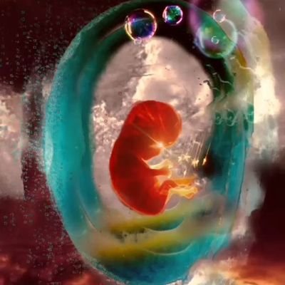 Metakeyf's profile picture. İ'm a digital artist living in İstanbul