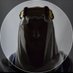 آإلسيف𓆩 ⁶⁶ 𓆪 (@bountydior) Twitter profile photo آإلسيف𓆩 ⁶⁶ 𓆪 (@bountydior) Twitter profile photo