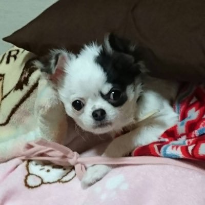 yukinaさんのプロフィール画像