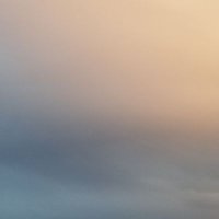 𝐧𝐚𝐲𝐮𝐤𝐢✧︎…*☽ (@nayuki1226) Twitter profile photo