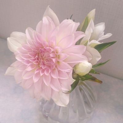 HANA_mahou's profile picture. 暑い