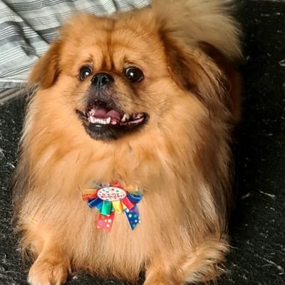 JulieAcklin2's profile picture. 