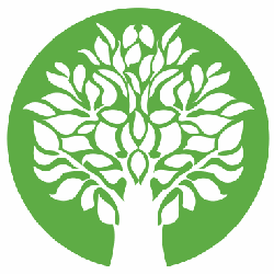 Yoga Studio in Akron, OH offering classes for every level including: Vinyasa, Power Vinyasa, Basics, Restorative, and Alignment.