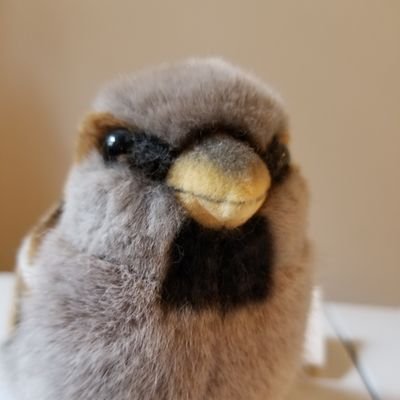 鎹雀さんのプロフィール画像