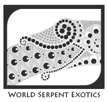 WSExotics's profile picture. Breeder/supplier of quality captive bred boas, pythons, corns, etc. and select quality imports. Absolutely no junk.