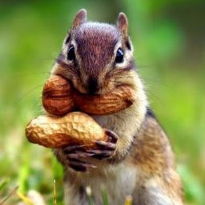 motivasyonn3's profile picture. 