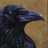 Crowfield avatar