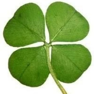 SuNyne's profile picture. 