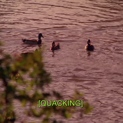 invstrd's profile picture. Cuanto peor mejor para todos.