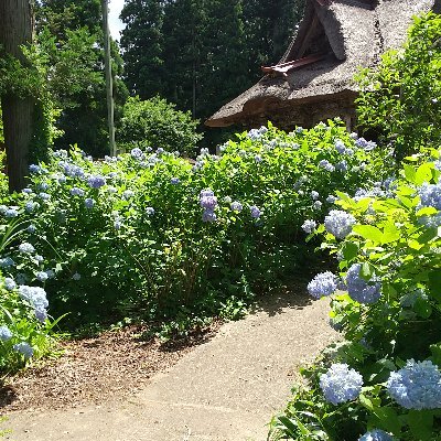 shige00610's profile picture. 写真撮ってます。日常もたまーに。