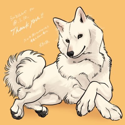 ✩.*˚らいとにんぐ✩.*˚ฅU•﹃•Uฅさんのプロフィール画像