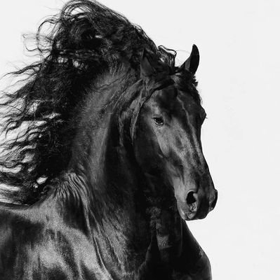 DeenLangau's profile picture. Allah tala hum sab ko deen ki samjh dy ameen



. . . . . . . . . . . . . .