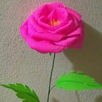 ᴶʸᵒᵗⁱ ᴷᵘᵐᵃʳⁱ 🌎🔴🟠🟡🟢🟣🟤⚫⚪ (@jyoti95690875) 's Twitter Profile