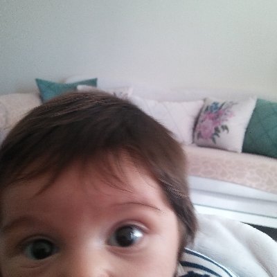 carlito_pacang's profile picture. 