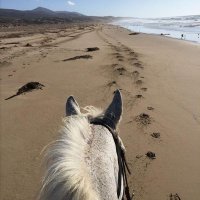 aljawharaH (@aljawharahkalf) 's Twitter Profile
