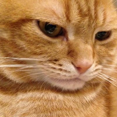 haokai21's profile picture. 