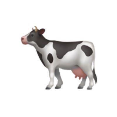 aCow_goes_moo's profile picture. 👩‍⚕️