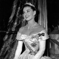 kiyoさん🐶不具合中 (@hisuitree) Twitter profile photo