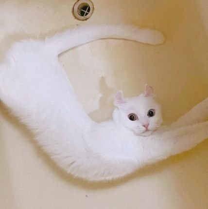 SOwnW2uXdPMPfOj's profile picture. 喜欢画画