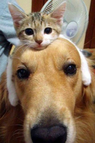 willdom70's profile picture. RT 전문 트위터 / 늘 음악 감상 중.. 뭐 좋은 음악 없나? / 소소하고 확실한 행복을 소심하게 추구 ㅡ.ㅡ