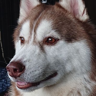 家ノ犬 適当にあさって見つけて面白ければ見る 俺のアニメを見る基準はそんなもんよー 一騎当千 名前 続きは質問箱へ Peing 質問箱 T Co H8jxqo8gnn 家ノ犬 適当にあさって見つけて面白ければ見る 俺のアニメを見る基準はそんなもんよー 一騎当千 名前 続きは質問箱へ Peing 質問箱 T Co H8jxqo8gnn