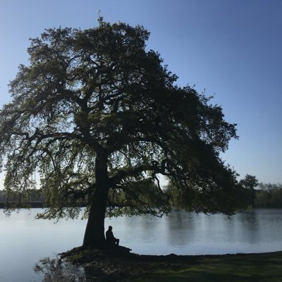 RutlandSailor's profile picture. Retired teacher, sailor, soldier.